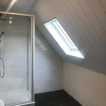 Haus Lowe Lejlighed Senheim