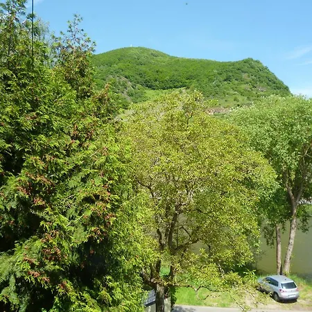 Апартаменты Haus Lowe