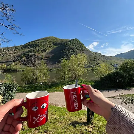 Апартаменты Haus Lowe Зенхайм