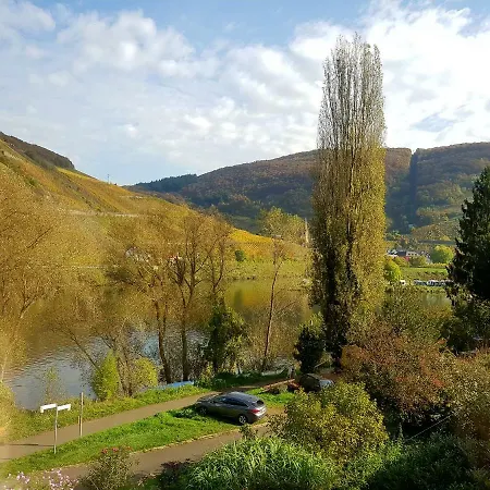 Haus Lowe Апартаменты *