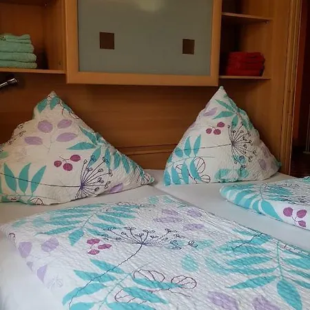 Haus Lowe Зенхайм